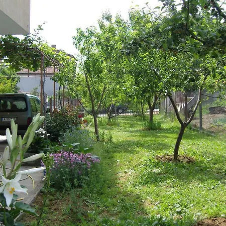 Kirovi House - Guest Carevo